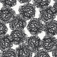 Quilting fabric | Riley Blake Castkata Classic | C10380R-BLAC