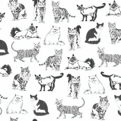 Quilting fabric | Sketched Realistic Cats | C8241WHT