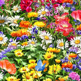 CD8777MULTI | Sweet Summer Floral | Timeless Treasures